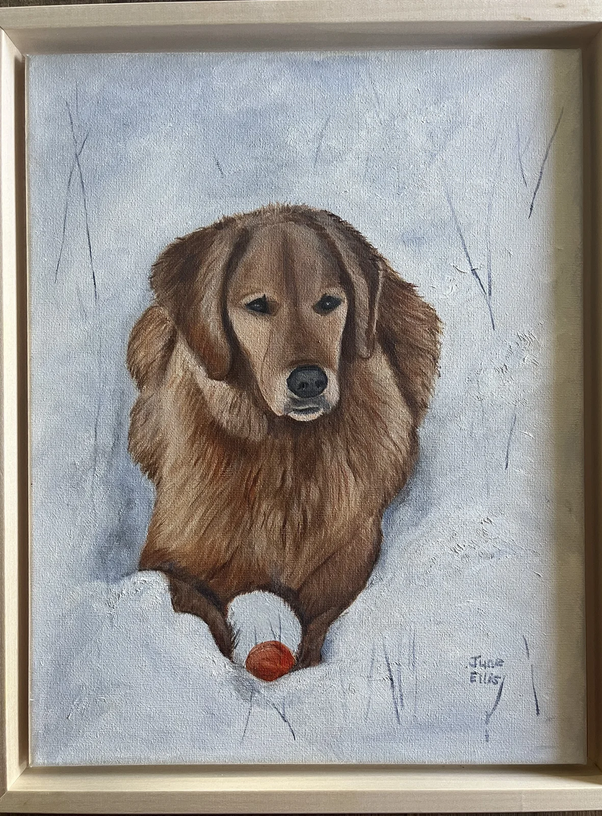 A Special Dog Portrait