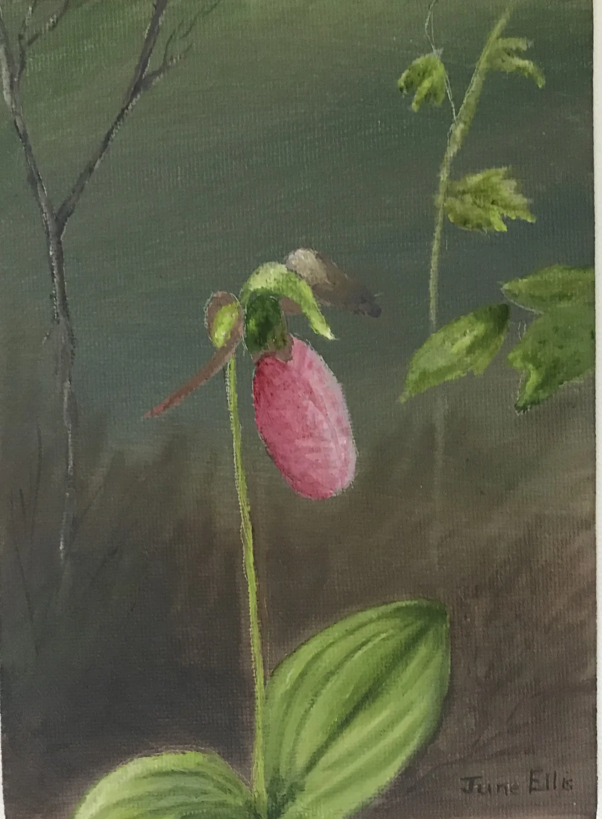 A surprise draw for those who sign up for my newsletter