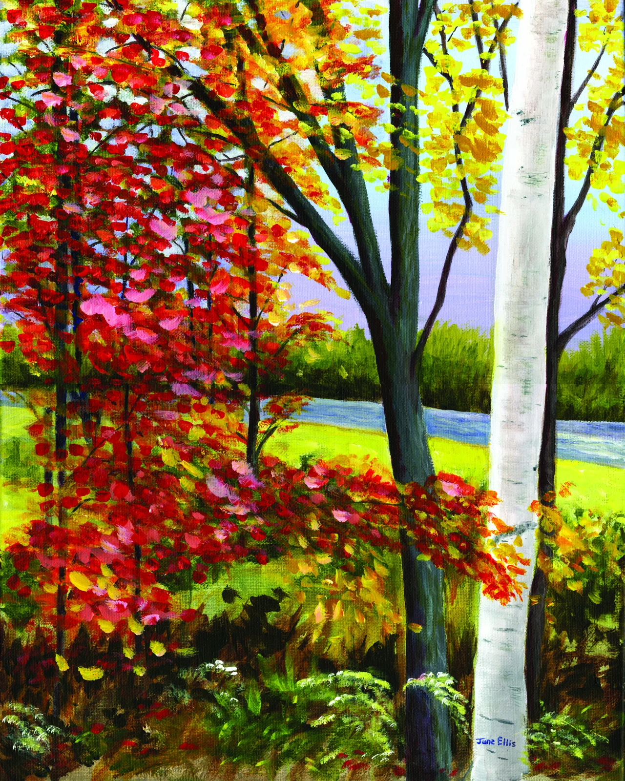 Fall Colors - October 25, 2020