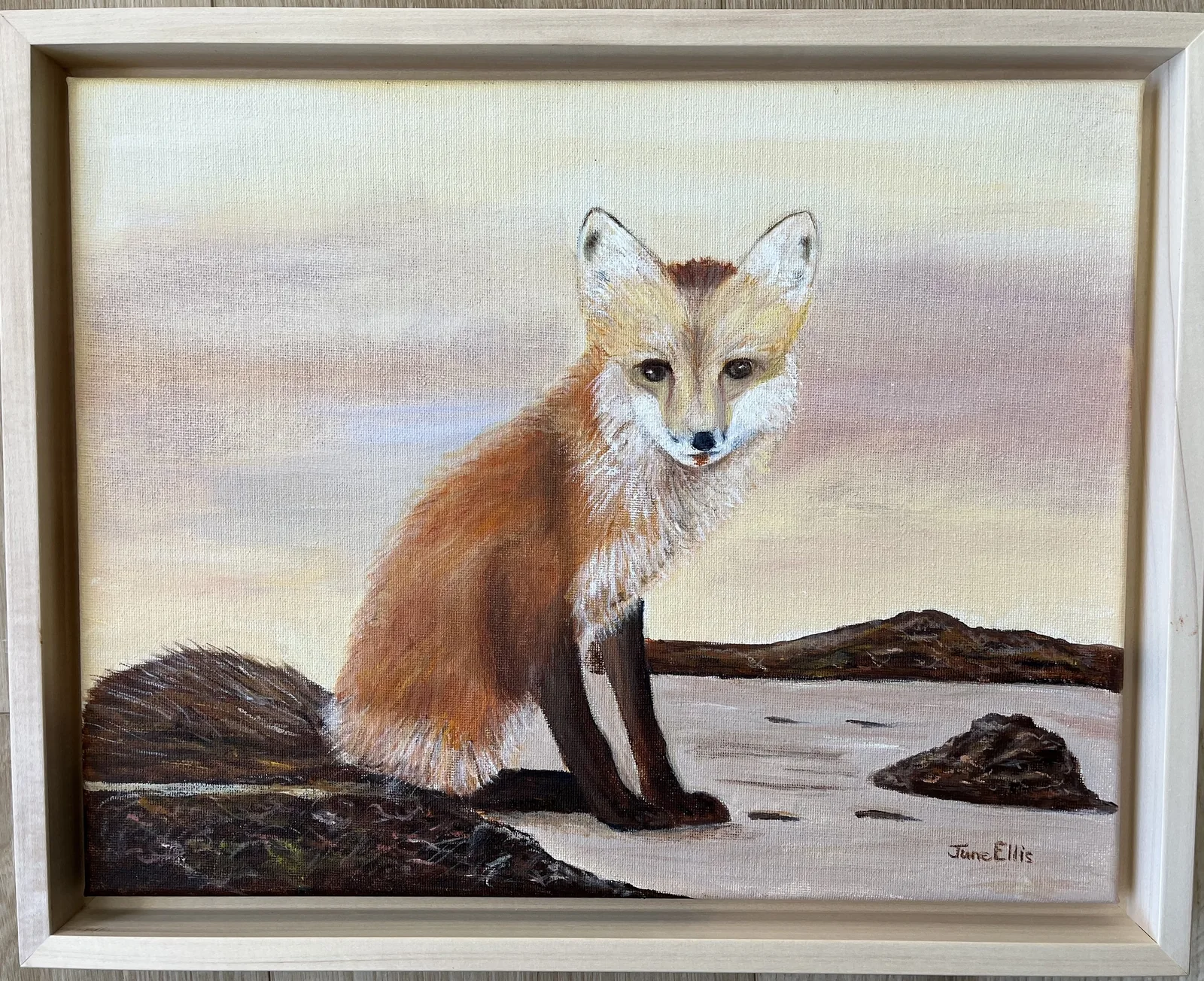 Quiet Watcher: A Fox with a Story to Tell