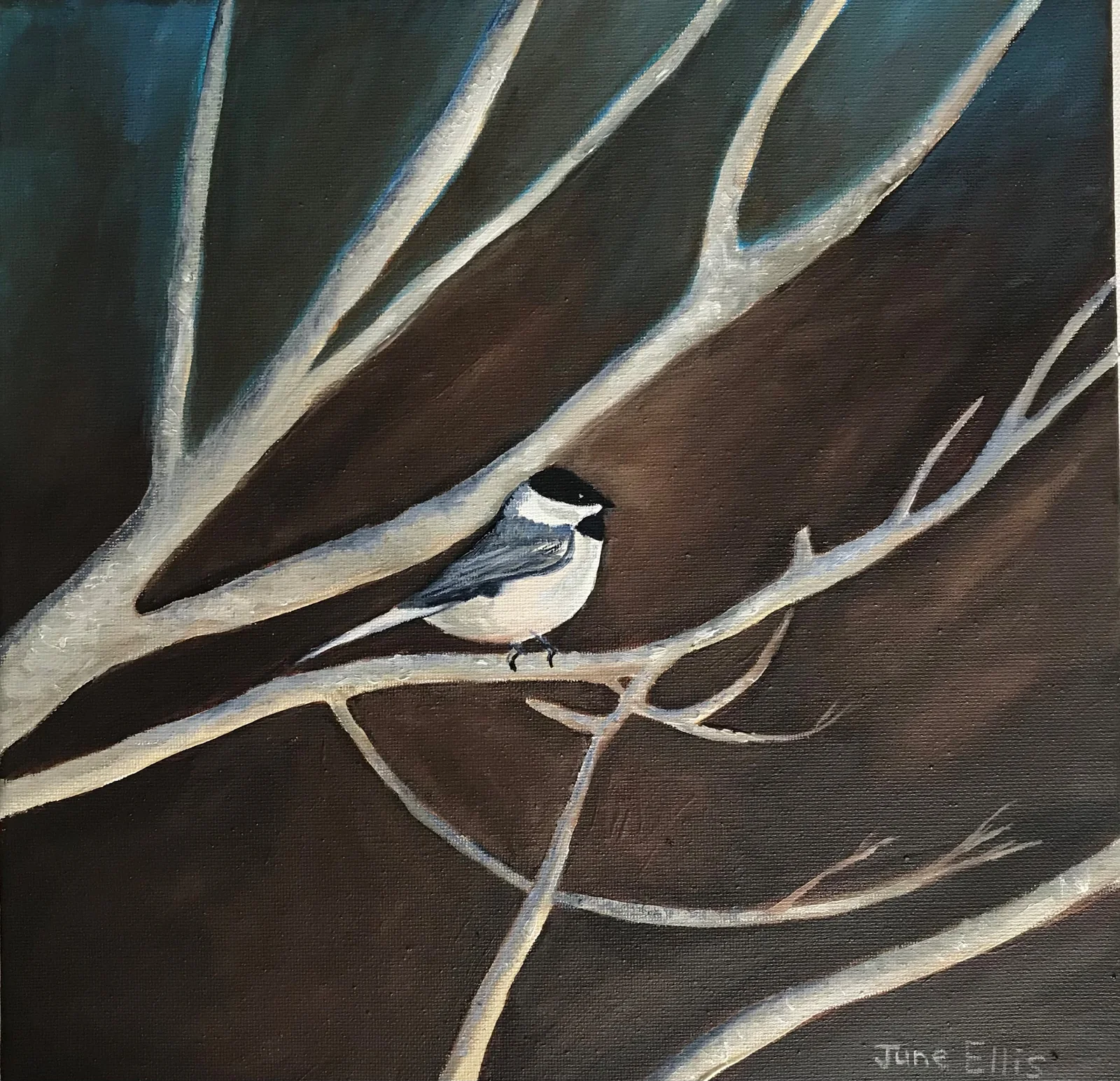 An original 12 x 12 inches oil painting of a little bird perched in the branches by June Ellis  PEI Artist