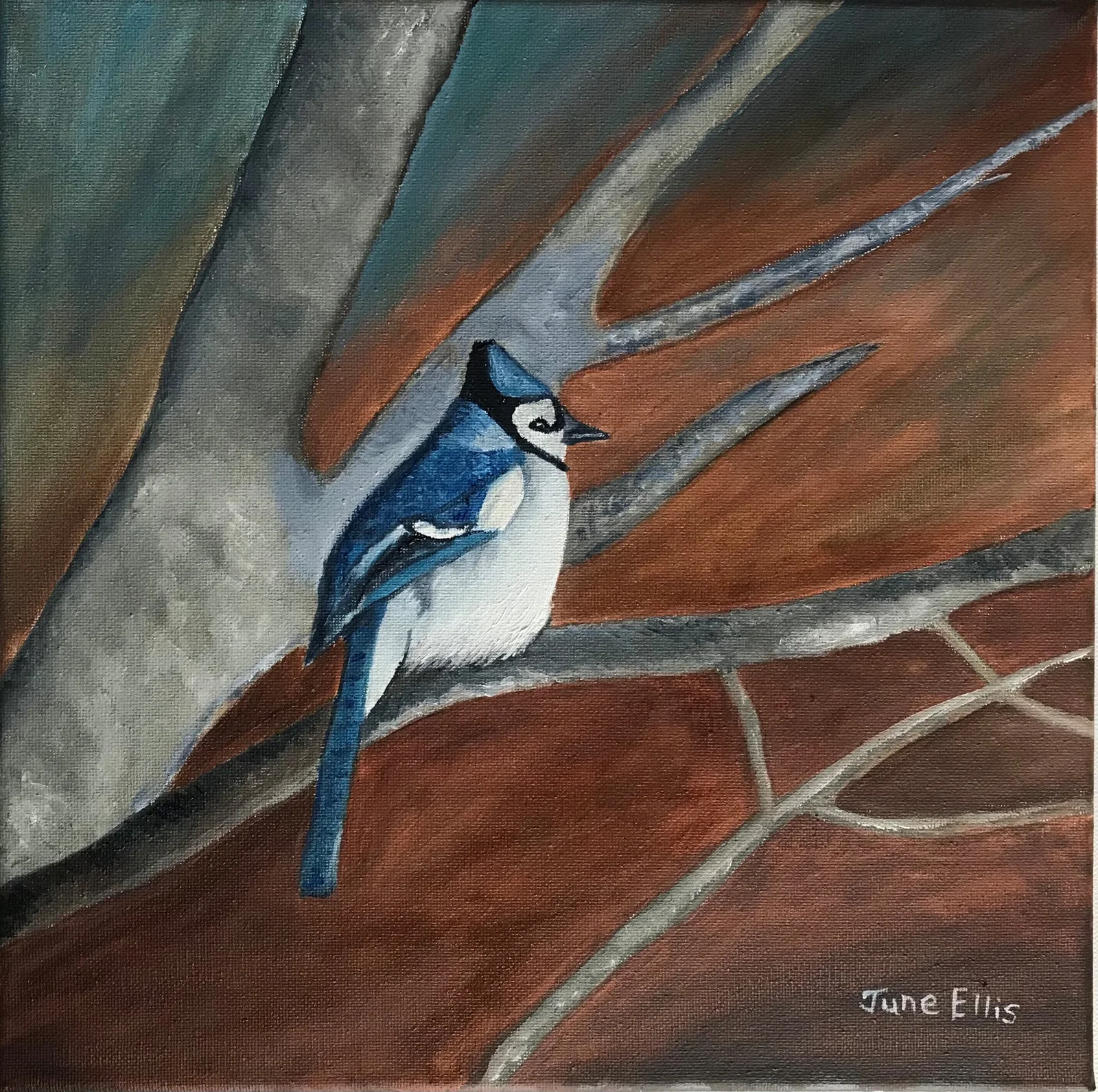 Painting of a bluejay perched on a branch, Canadian bird art by PEI artist June Ellis