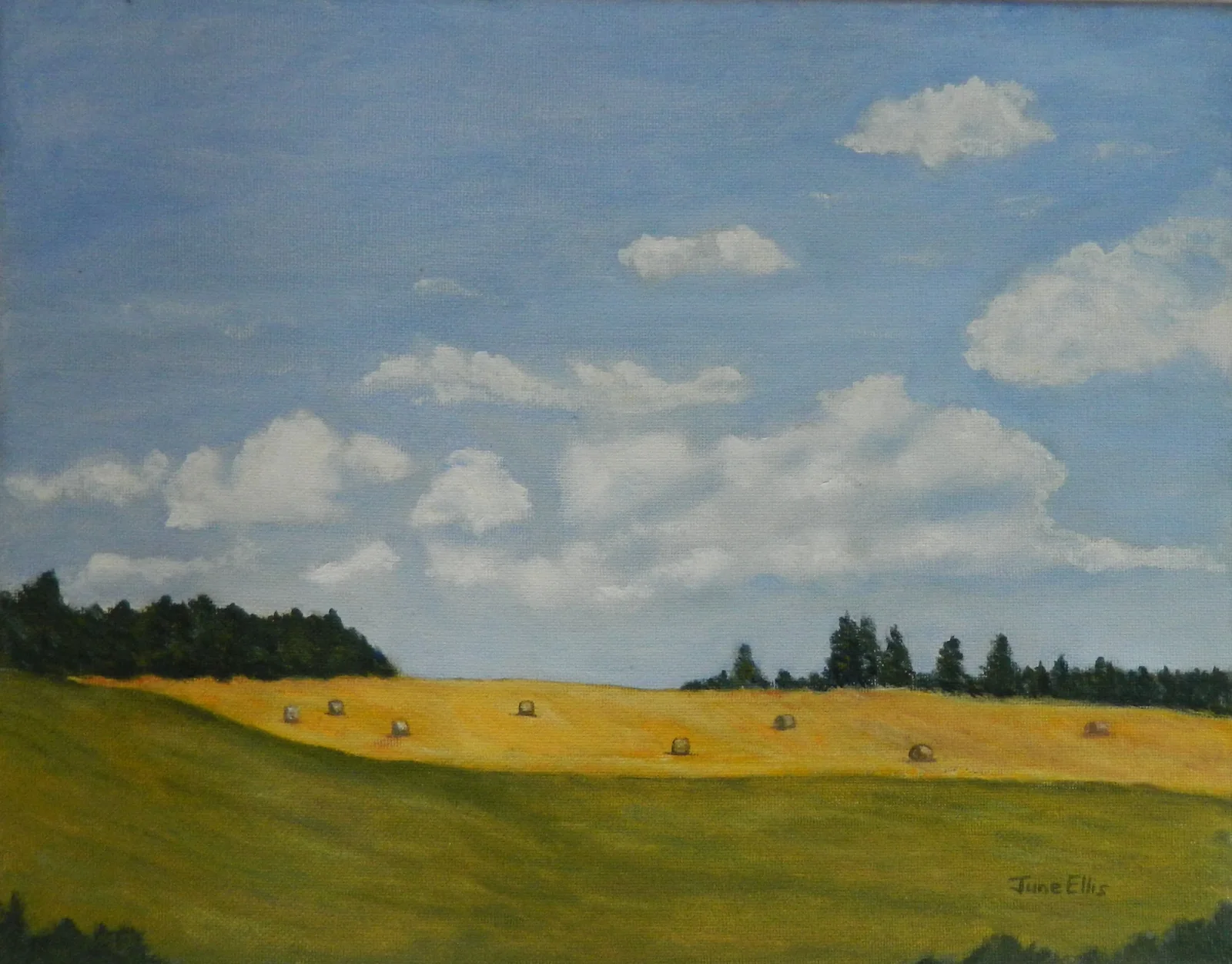 Clouds and Fields Prince Edward Island is an original oil painting of farm fields and clouds on 11x14 canvas by PEI artist