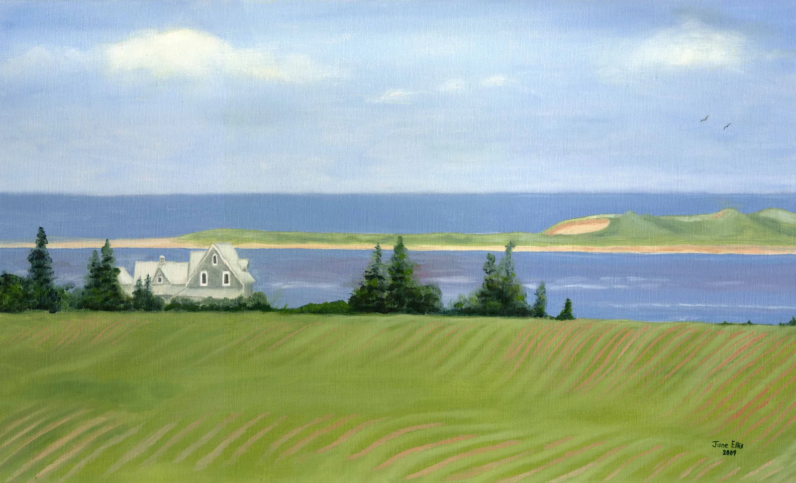 Field leading to the shore with house in the background