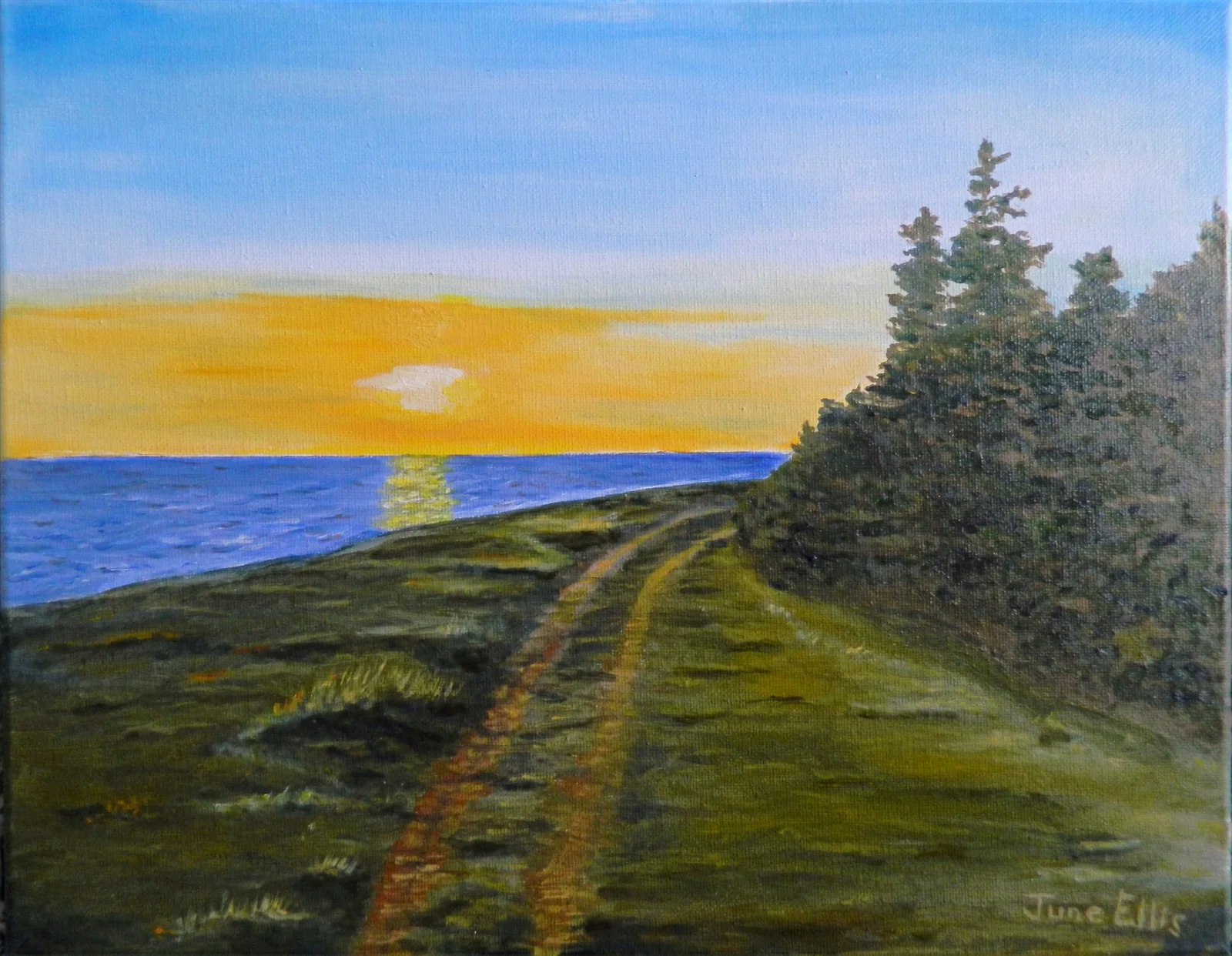 Lane through the field leading to a brigh yellow sunset and water.