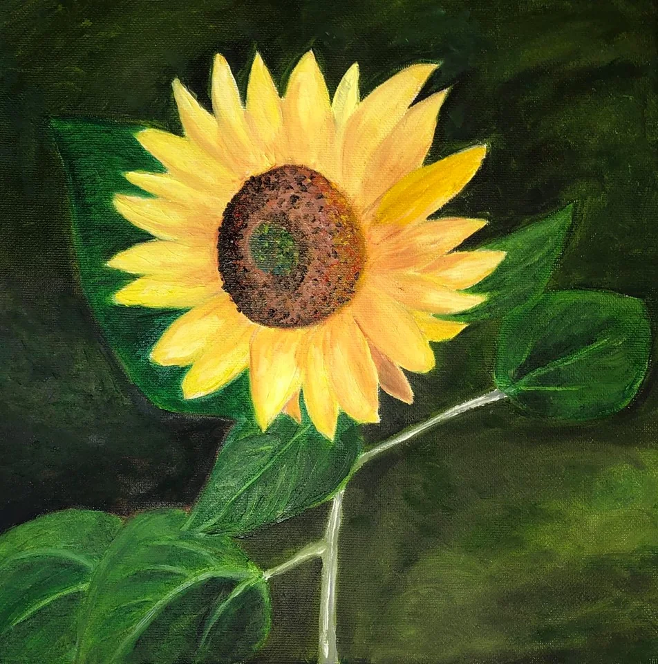 Sunflower is an original oil painting on 12x12 canvas showing a single sunflower in bloom by June Ellis PEI Artist
