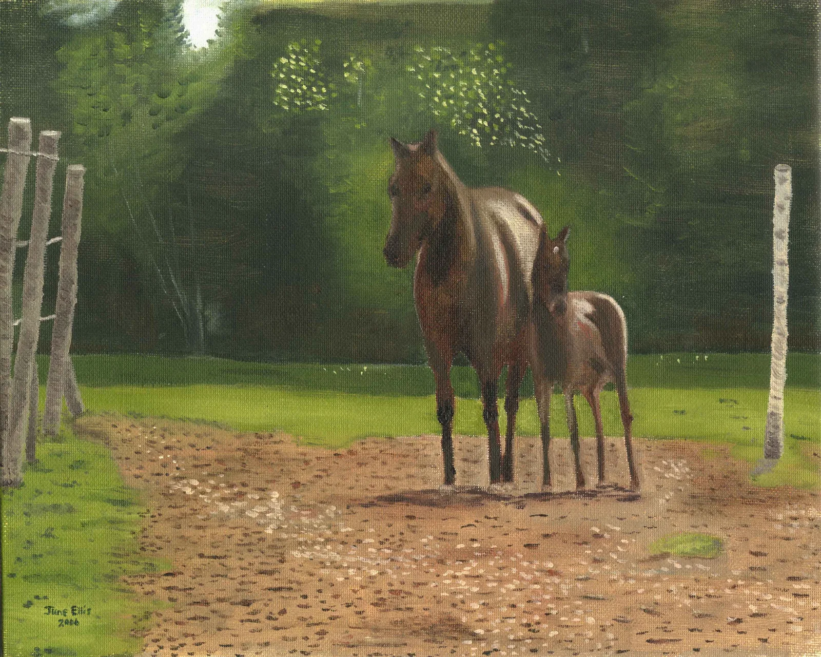 Horse and her foul standing in the barn yard