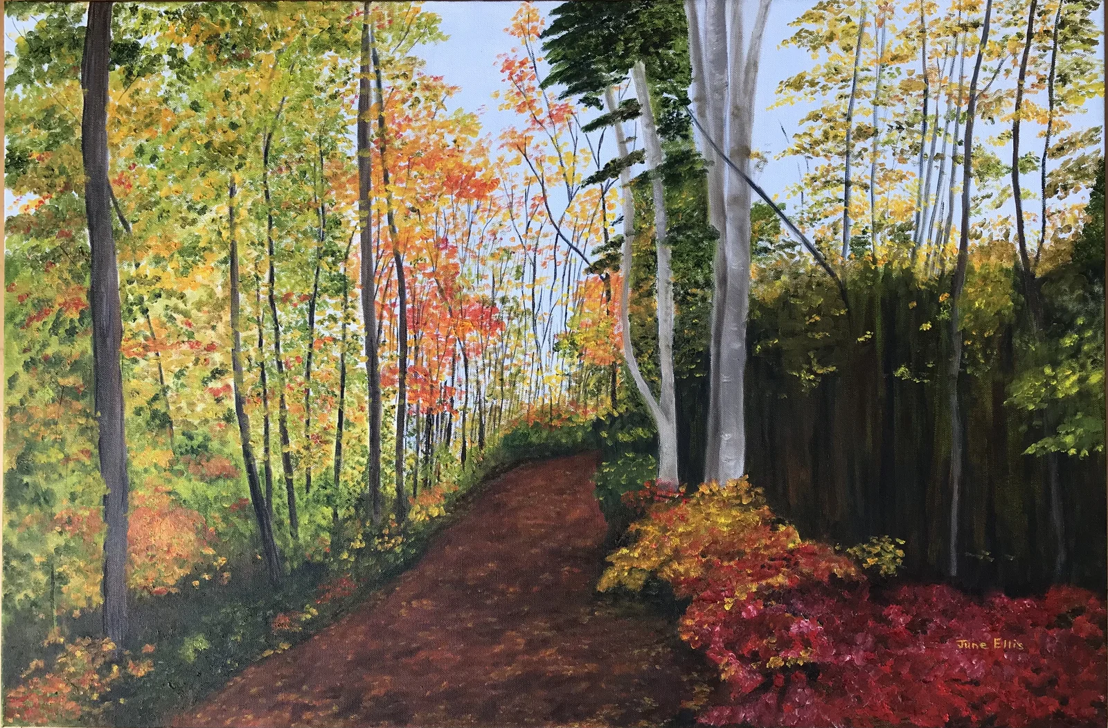 Fall scene with lane leading into the woods