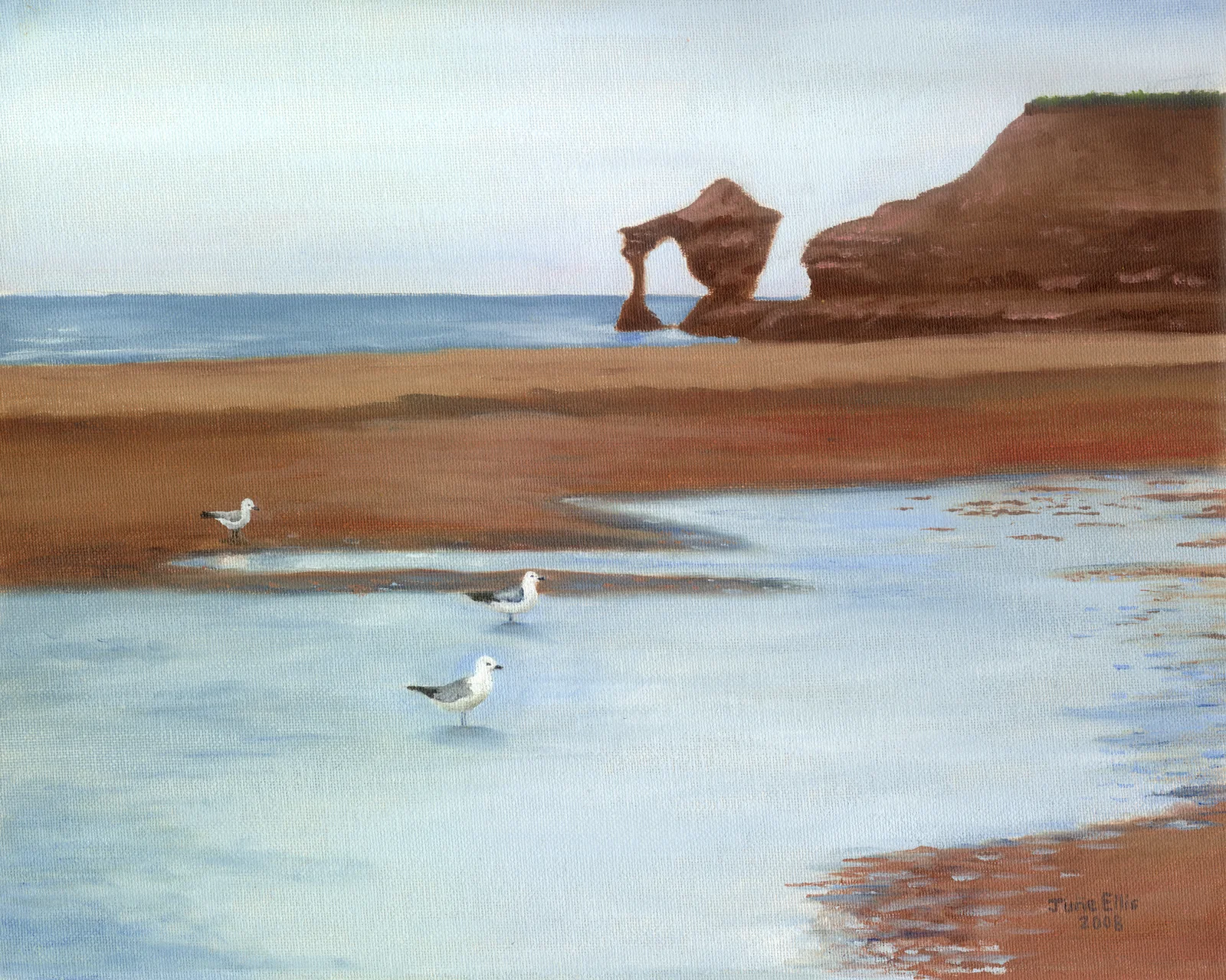 Print from original painting of Seagulls on the beach water with teacup rock in the background by PEI artist June Ellis