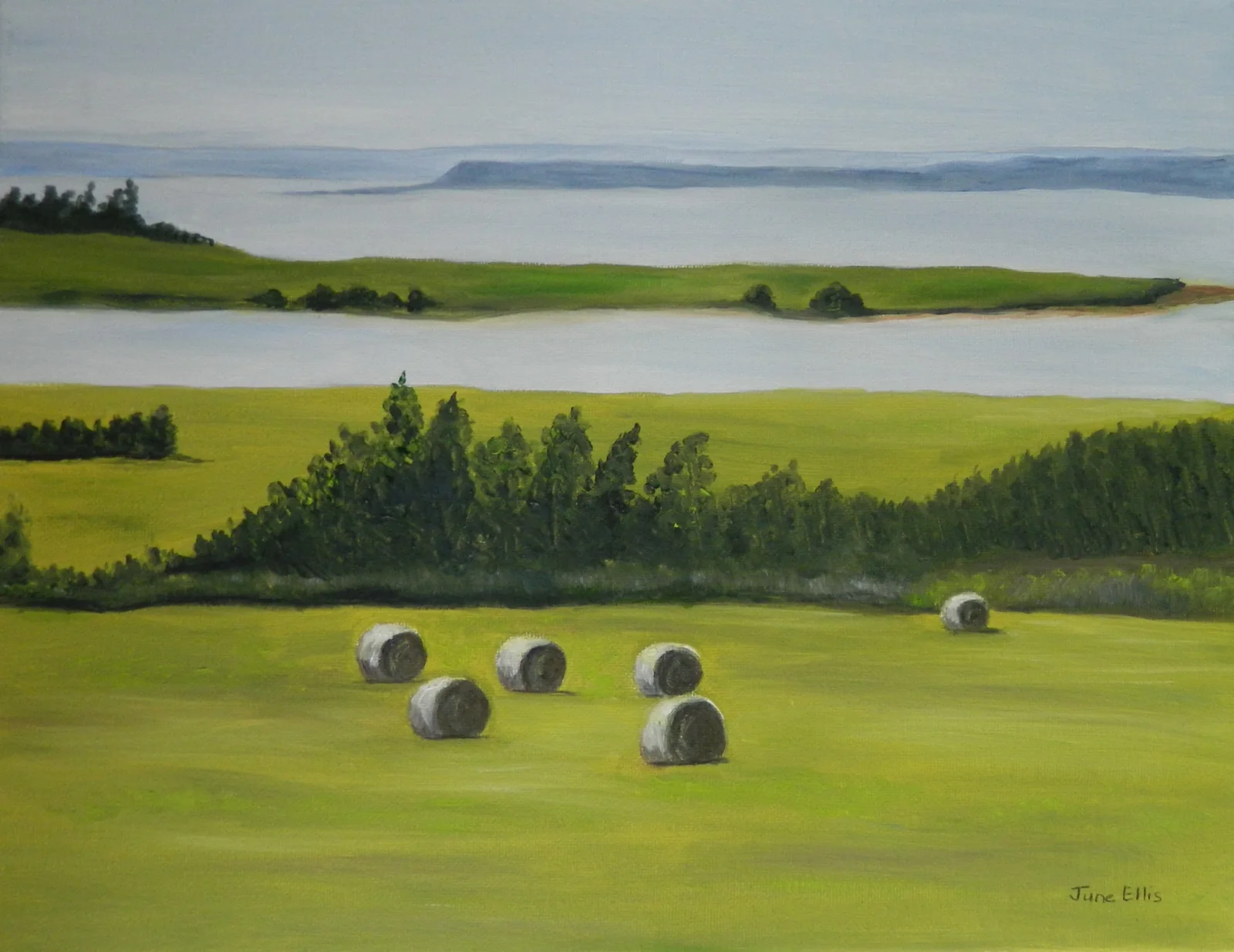 Farm and Sea is an original oil painting on 11x14 canvas shows the round bales in the field and sea in the distance